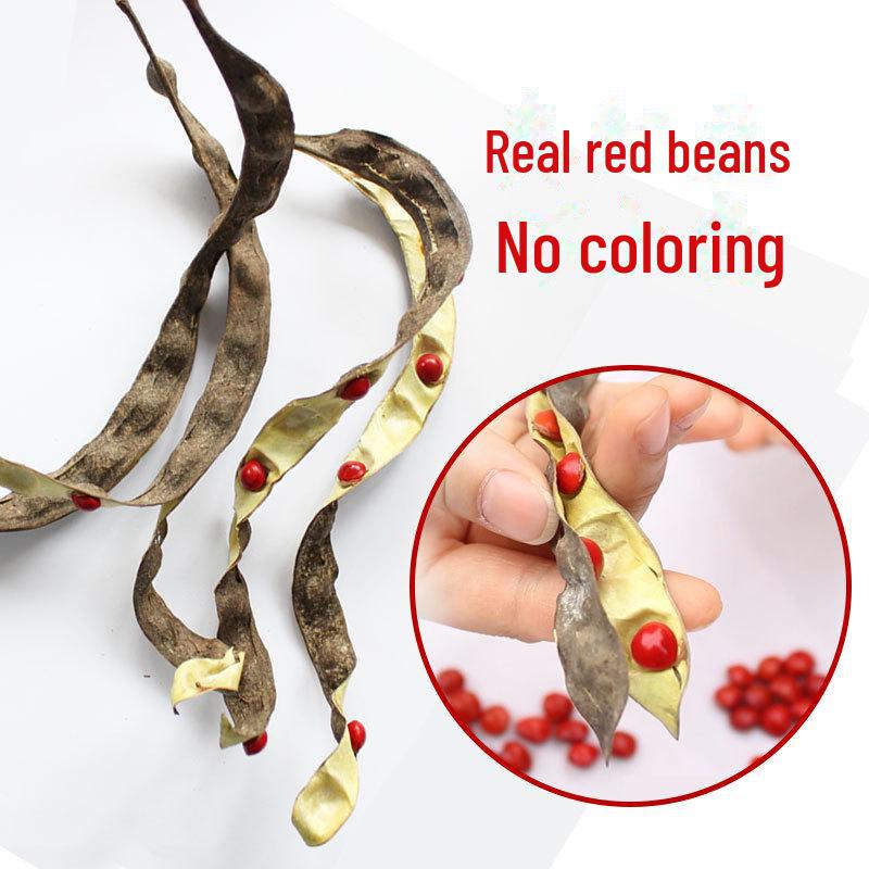 Red Bean Bodhi 108-Bead Bracelet, Acacia Seeds, Birth Year Gift for Men and Women - Chinese Valentine's Day