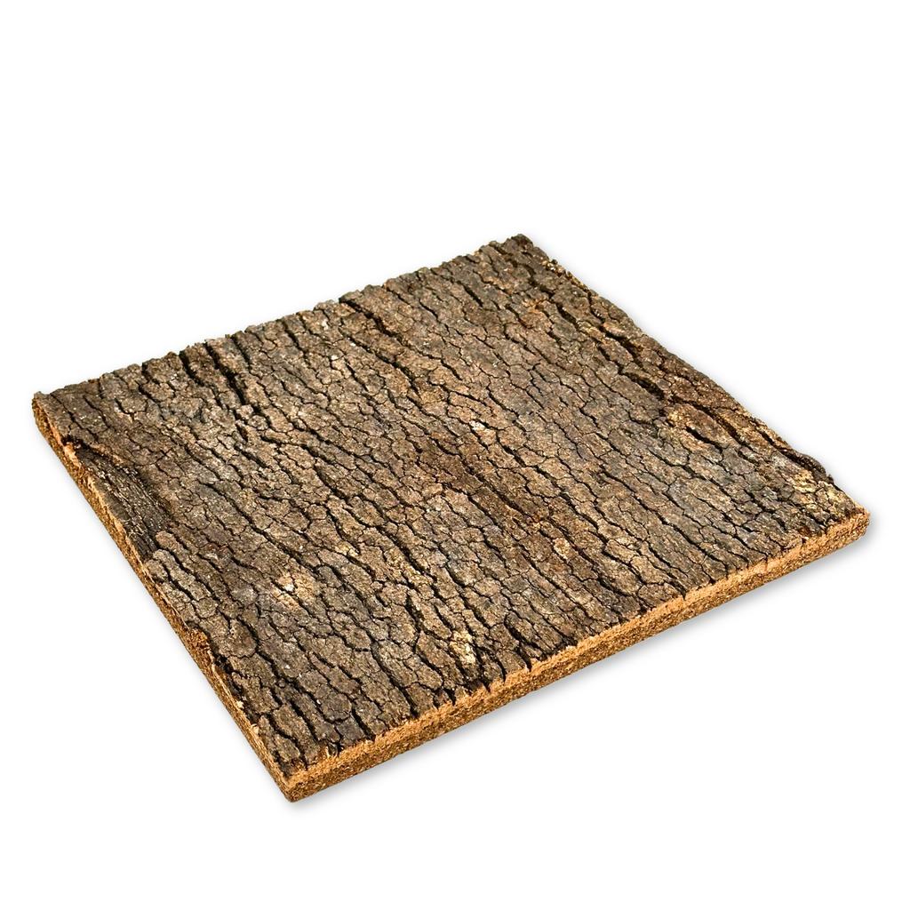 BioVirgin Mantar Arka Plan Koyu 30x30cm teraryumlar için mantar arka planı