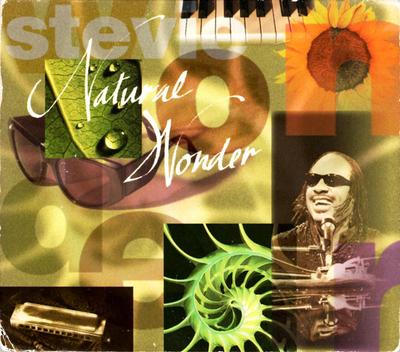 CD STEVIE WONDER - Natural Wonder 3145305462 Motown 1995 US Rap & Hip-Hop/R&B Used