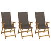 vidaXL Folding Chairs, Set of 3 with Cushions, Made of Solid Acacia Wood