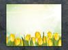 SZKLANA DESKA DO KROEJNIA 30x22 TULIPANY