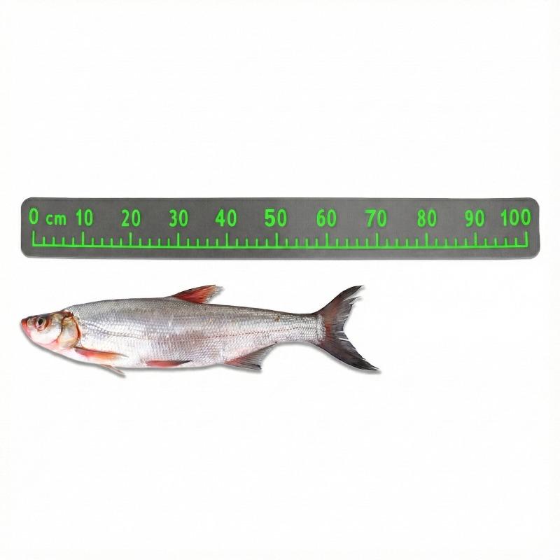 Dark Gray Theme 100cm EVA Foam Fish Measure Ruler Adhesive Tape for Fishing Boat Kayak Cooler Box Angling Ruler Tool Accessory 7