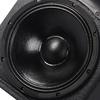 SHILE 15-inch Professional Stage Speaker (CN Version)