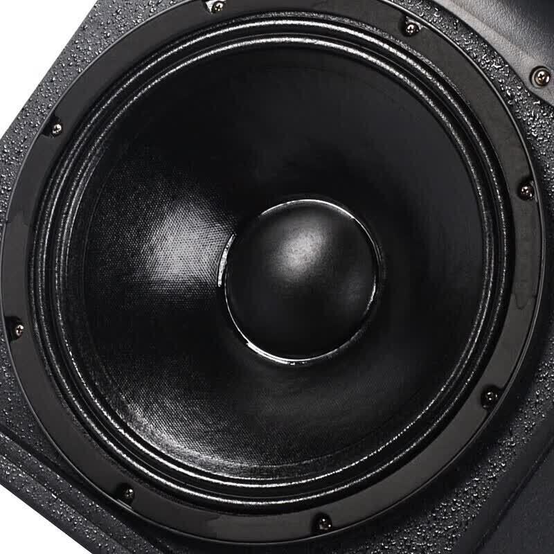 SHILE 15-inch Professional Stage Speaker (CN Version)