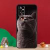 Beautiful Grey British Shorthair Cat Case For Samsung Galaxy A17 A06 A16 A56 A36 A54 A34 A14 A52 A32 A13 A23 A33 A53 A15 A35 A55