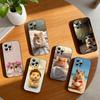 Cute Animal Fluffy Hamsters Phone Case For iPhone 17, 16,15,14,13,12,11 Plus,Pro Max, Others Soft Black Cover