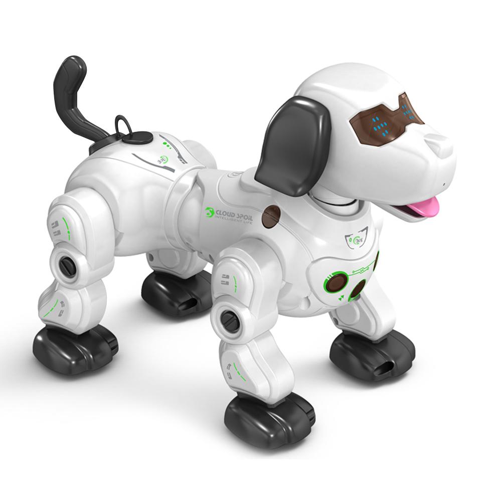 remote control dog toys