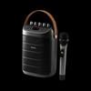 Edifier PK305 Portable KTV Speaker with Microphone CN Plug (adapter Included)