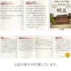 [GOLD STONE] Koyasan Bracelet Koyasan Chumon Hinoki (Japanese Cypress) 9mm with Box World Heritage Site, Kongobuji Natural Stone, Power St