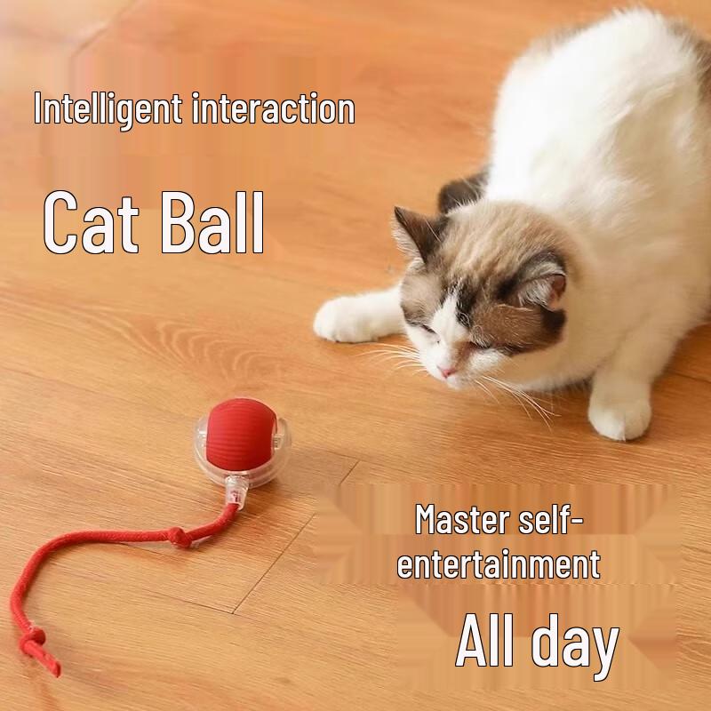 Intelligenter automatischer Katzen-Teaser-Ball