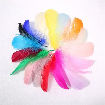 Gęsie Pióro 6cm~11cm Do Pięknej Dekoracji Rękodzieło Pudełko Prezentowe DIY 50/100/150szt Kolorowe Gęsie Pióra