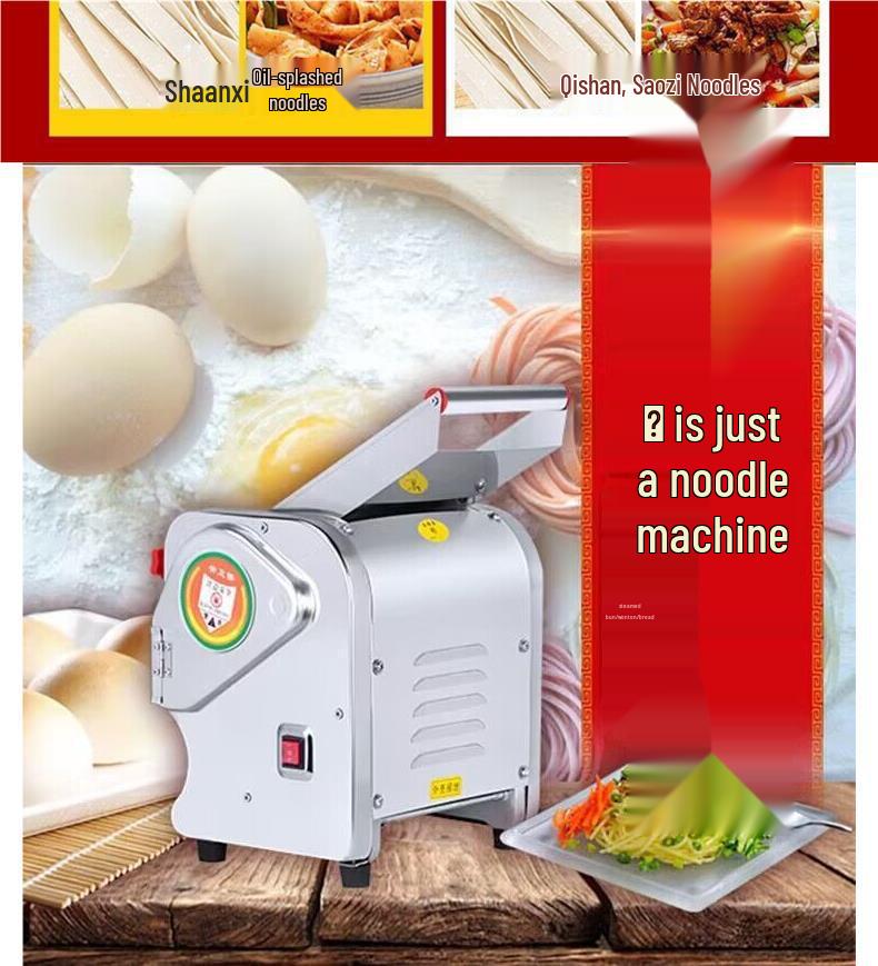 Stainless Steel Electric Noodle & Dumpling Maker with Semi-Automatic Dough Press