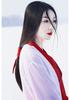 Wei Jin Hanfu: Women's Ancient Costume, Knight Style, Wide Sleeves, Elegant Red Fairy Design