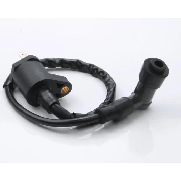 Scooter Standard & High performance Ignition coil for Vespa Et4 Gtv 125 Granturismo Eu3 Gts Eu3 125cc 829337 246010082
