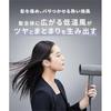 SALONIA Smooth Shine Dryer Large Airflow Fast Drying Lightweight Hair Gray