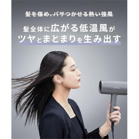 SALONIA Smooth Shine Dryer Large Airflow Fast Drying Lightweight Hair Gray