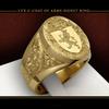 Royal Shield Ring with Lion Crown 18k Gold Plated Men Jewelry Vintage Design
