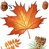 Pumpkin Harvest Wall Decor 5Pcs Autumn Maple Static Window Clings, Fall Stickers, Clings Glue-Free Removable for Thanksgiving Home Shop Glass