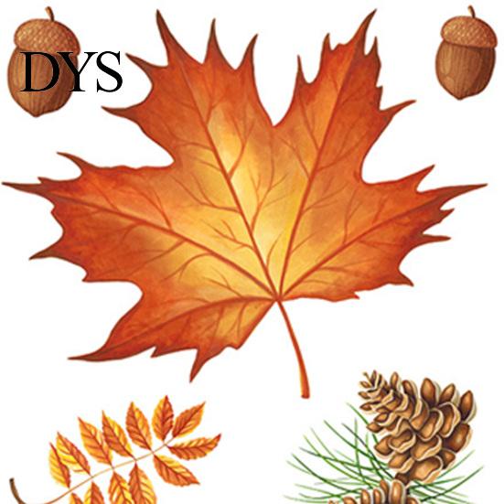 Pumpkin Harvest Wall Decor 5Pcs Autumn Maple Static Window Clings, Fall Stickers, Clings Glue-Free Removable for Thanksgiving Home Shop Glass