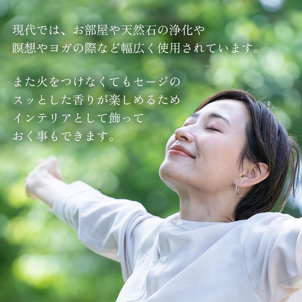 White Sage Bundle 4 Imported Directly from Handcrafted by Easy To Dry Herbs [RONNOS] Sticks, California, Artisans, Incense, Purification,