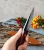 Stainless Steel Kitchen Boning Knife Handmade Kitchen Knife Fishing Knife Meat Cleaver Cutter