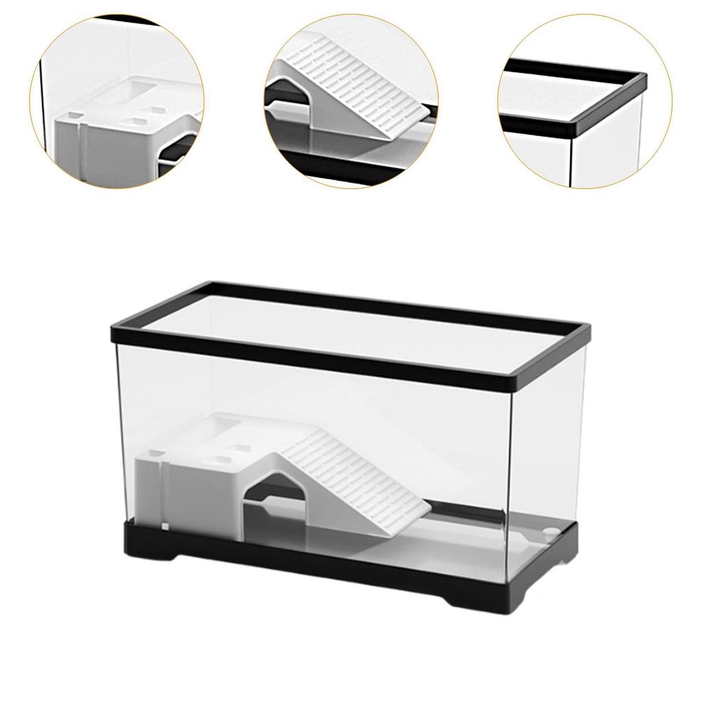 Turtle Tank Multifunctional Area Box Amphibians Turtle Habitat Indoor Decor