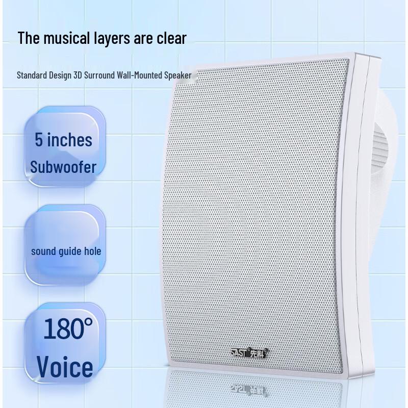 SAST Commercial Wall-Mounted Public Address Speaker CN plug (adapter included)