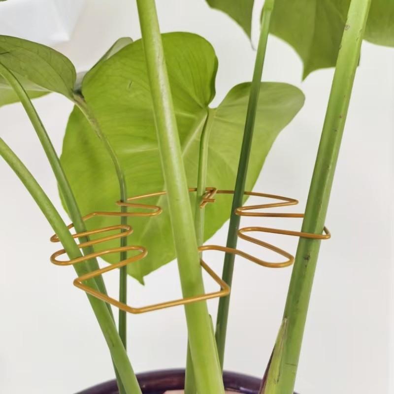 3pcs Adjustable Metal Plant Stem Support Durable Monstra Flower Climbing Stem Holder For Plants Garden Trellis