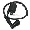 For Yamaha Grizzly 125 300 350 YFM125G YFM125GH YFM350 YFM300 YFM300D YFM300G YFM350FG Ignition Coil
