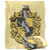 Harry Potter Ravenclaw Painted Blanket