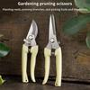 Stainless Steel Scissors Flower Cut Arrangement Pruning Fruit Tree Garden Branch Cutting Household Grafting Gardening Scissors