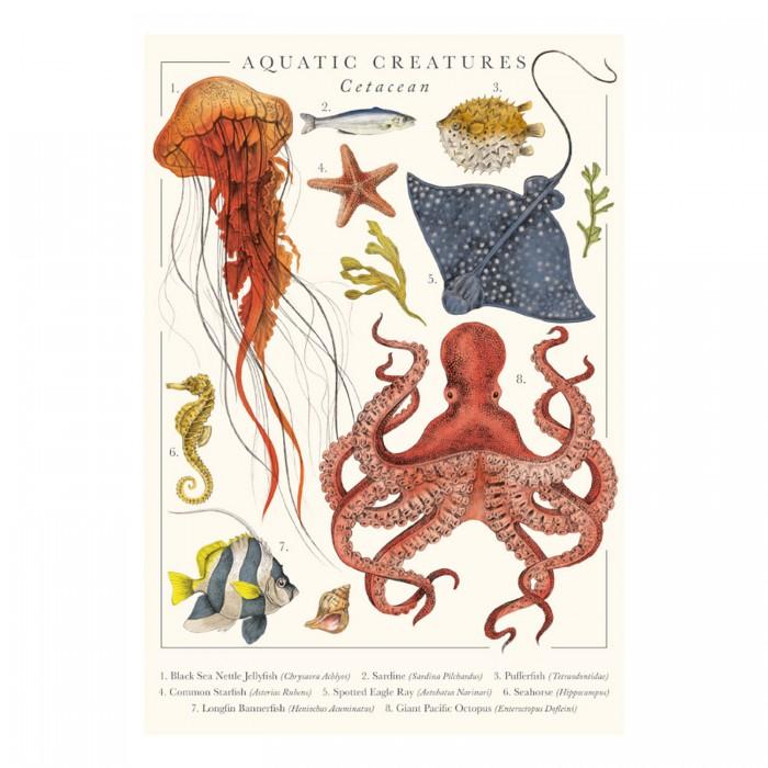 Tall Boy Prints Aquatic Creatures Print