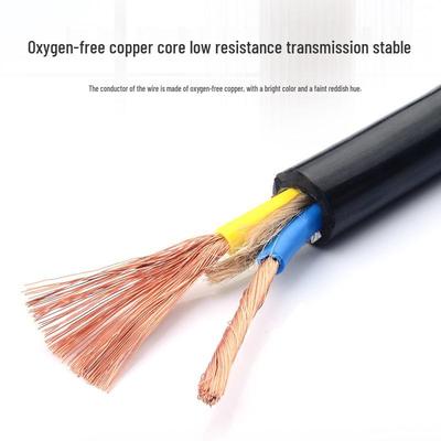 2.5 SQ Beef Tendon Electrical Wire: Soft, Antifreeze, 2-Core Copper Power Cord, National Standard, for Household Use