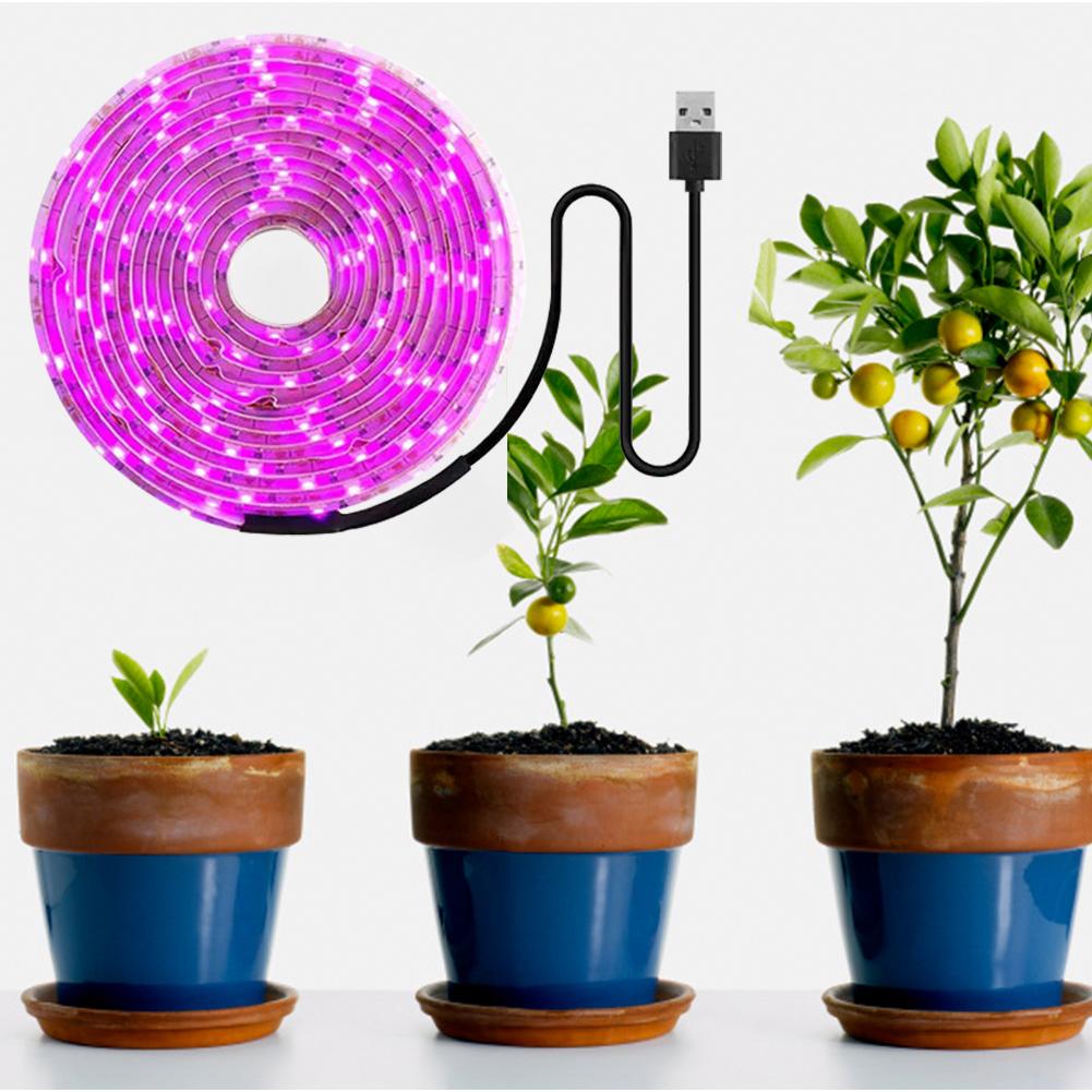 LED Grow Light Waterproof Indoor Veg Plant Growing Lamp Plant Grow LED Light for Plants Flowers Greenhouse Hydroponic 1M 2M 2M 5M