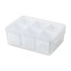Chopped Green Onion Crisper Multipurpose Large Capacity Refrigerator Food Storage Container with