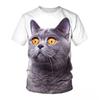 Summer Round Neck 3D Cute Cat Print Top Fashionable Casual Short Sleeved Men's T-shirts