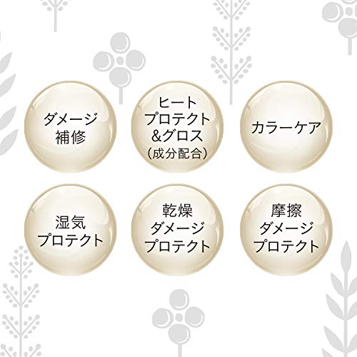 SALON STYLE KOSE Biolis Botanical Esthetique Infusing Hair Pack (Smooth) (Smooth and curly) Frizz Dry Damage Care Treatment Rose & Muguet 200g (x 1)