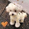 Dog German velvet warm four-legged clothes autumn and winter than bear teddy small dog cat pet bottoming shirt loungewear