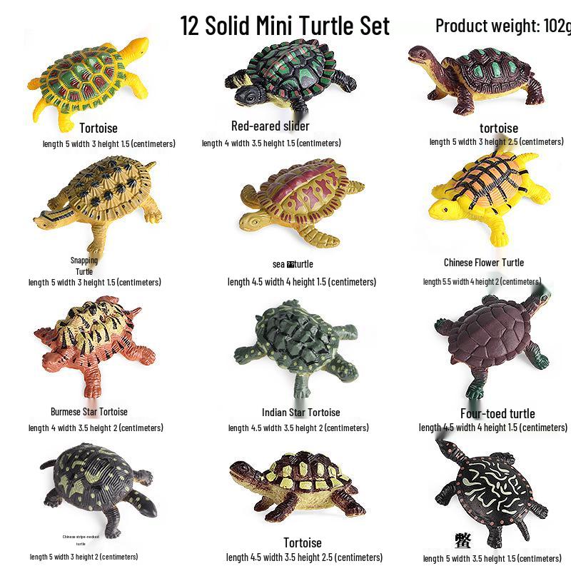 Children's Cognitive Marine Animal Models: Sea Turtle and Tortoise Toys