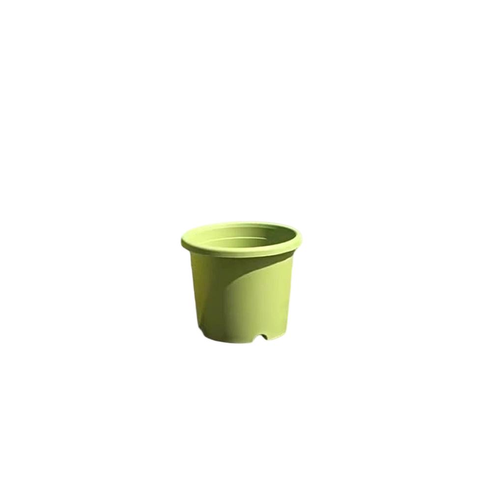 The New - Gallon Rose And Green Vine Plastic Flowerpot Of Four Seasons Flowerpot