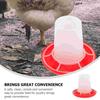 Chicky Dove Food Poultry Feeding Trough Automatic Feeder for Chicken Dish Quail Hanging Kit Dispenser Groove Bowl Baby
