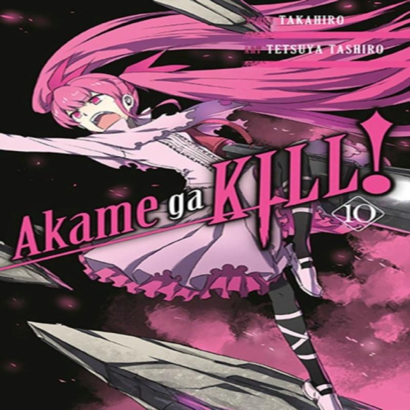 Akame Ga Kill Vol. 10 by Tetsuya Tashiro Paperback Book 9780316469302