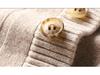 Men's Stand Collar Four-Button Jacquard Wool Sweater, Winter 2025 Fashion for Young and Middle-Aged, Casual Base Layer