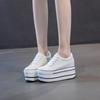 Fashion High Quality 2024 Platform Shoes Women Spring Autumn Women's Boots Fashion Canvas Shoes Breathable Women Super High Single Shoes