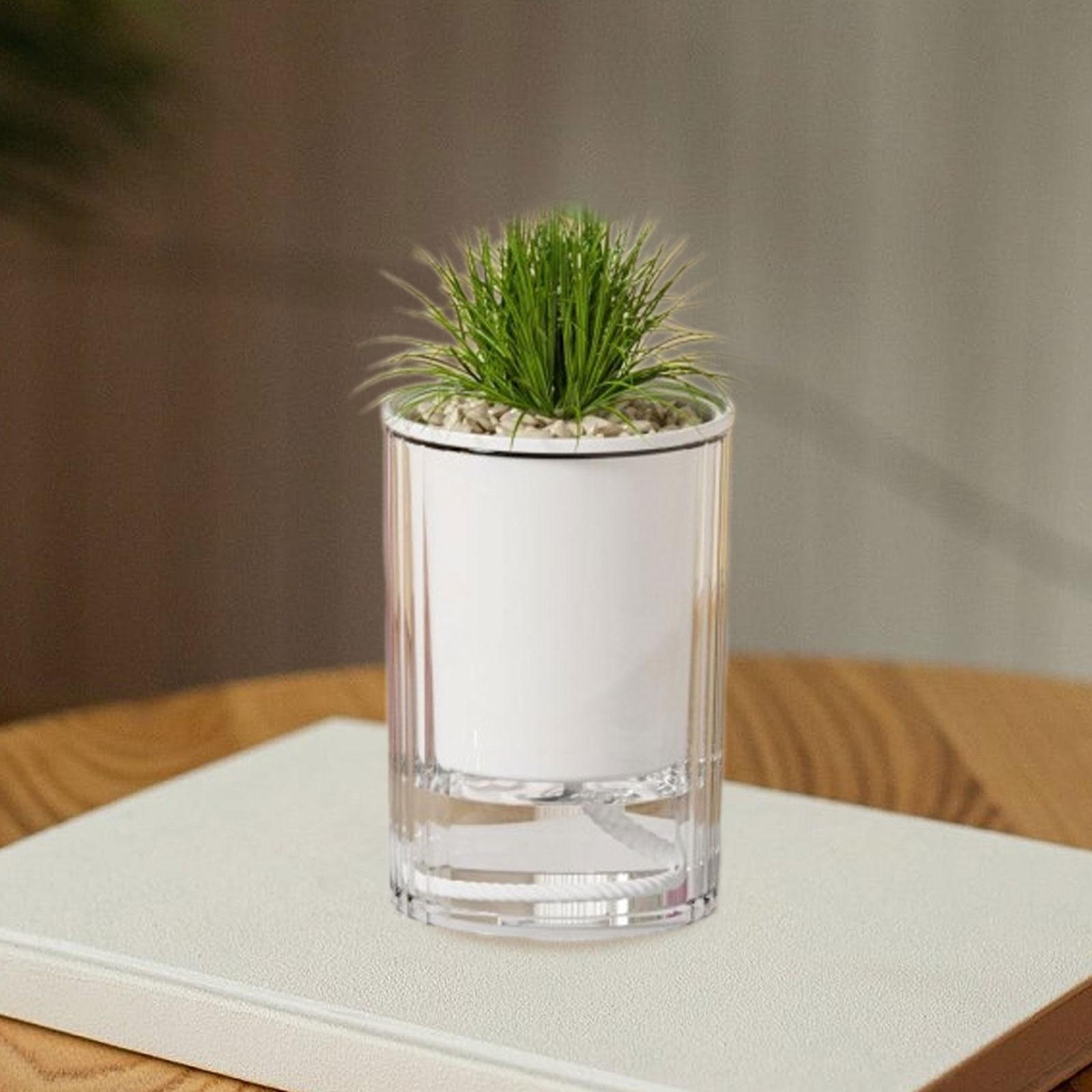 

Автоматический задний плантатор для гидропонного горшка, украшение для стола, небольшой садовый цветок для