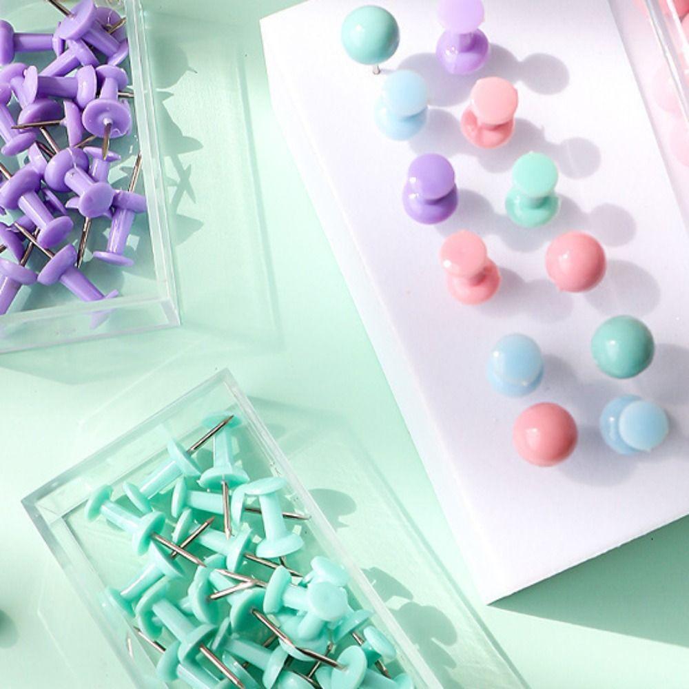 Metall Foto Wandnieten Kunststoff Reißzwecke Büro Bindemittel Reißzwecken Brettstifte Fotowand