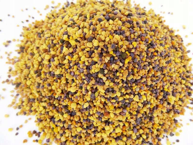 Bee pollen Specialist Apiary 100 g