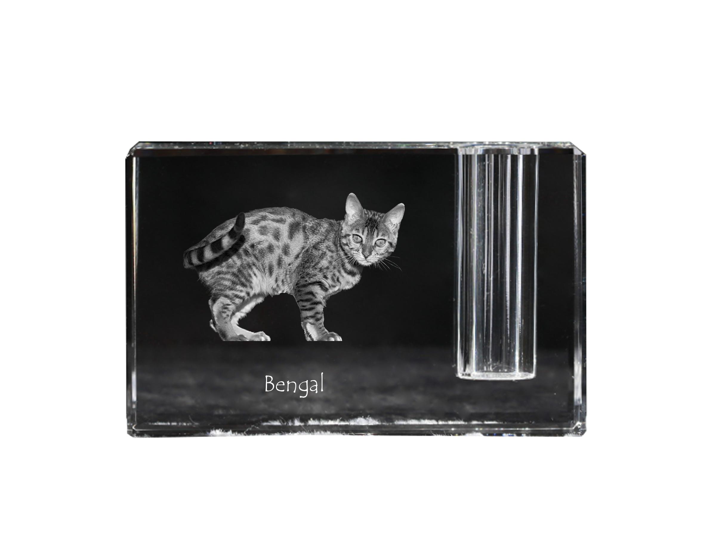 Bengala - Portapenne, organizer in cristallo con foto di gatto, decorazione da scrivania unica del marchio Art-Dog trasparente