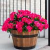 6pcs Artificial Camellia Flowers - Outdoor Flowers UV Resistant Fabric Bouquets for Outdoor Decor, Ideal for Potted Plants, Porch, Terrace, Balcony