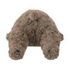 Livheart Body Nemunemu Chocolat Toy Medium Size Fluffy and Squishy Dog Plush Pillow, Cotton, Animals, Poodle, Brown, (Approx. 50cm), Toy, Gift,